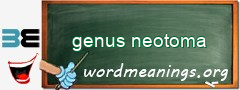WordMeaning blackboard for genus neotoma